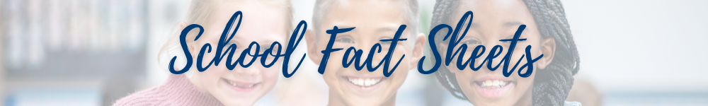 school fact sheets title with three young students disolved in the background - smiling