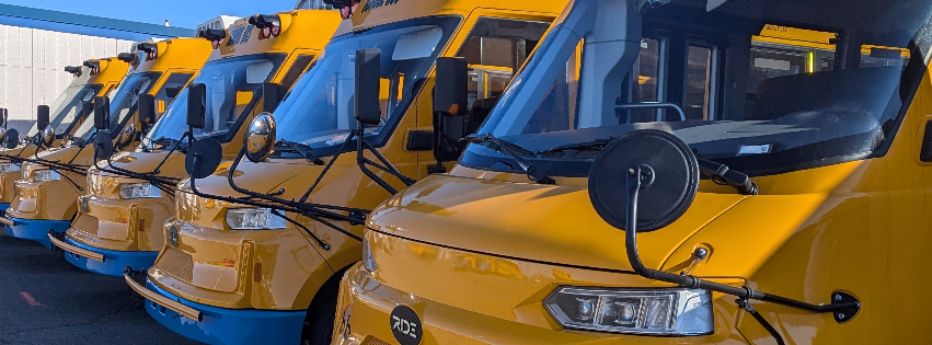 students walking on grass school bus in the background