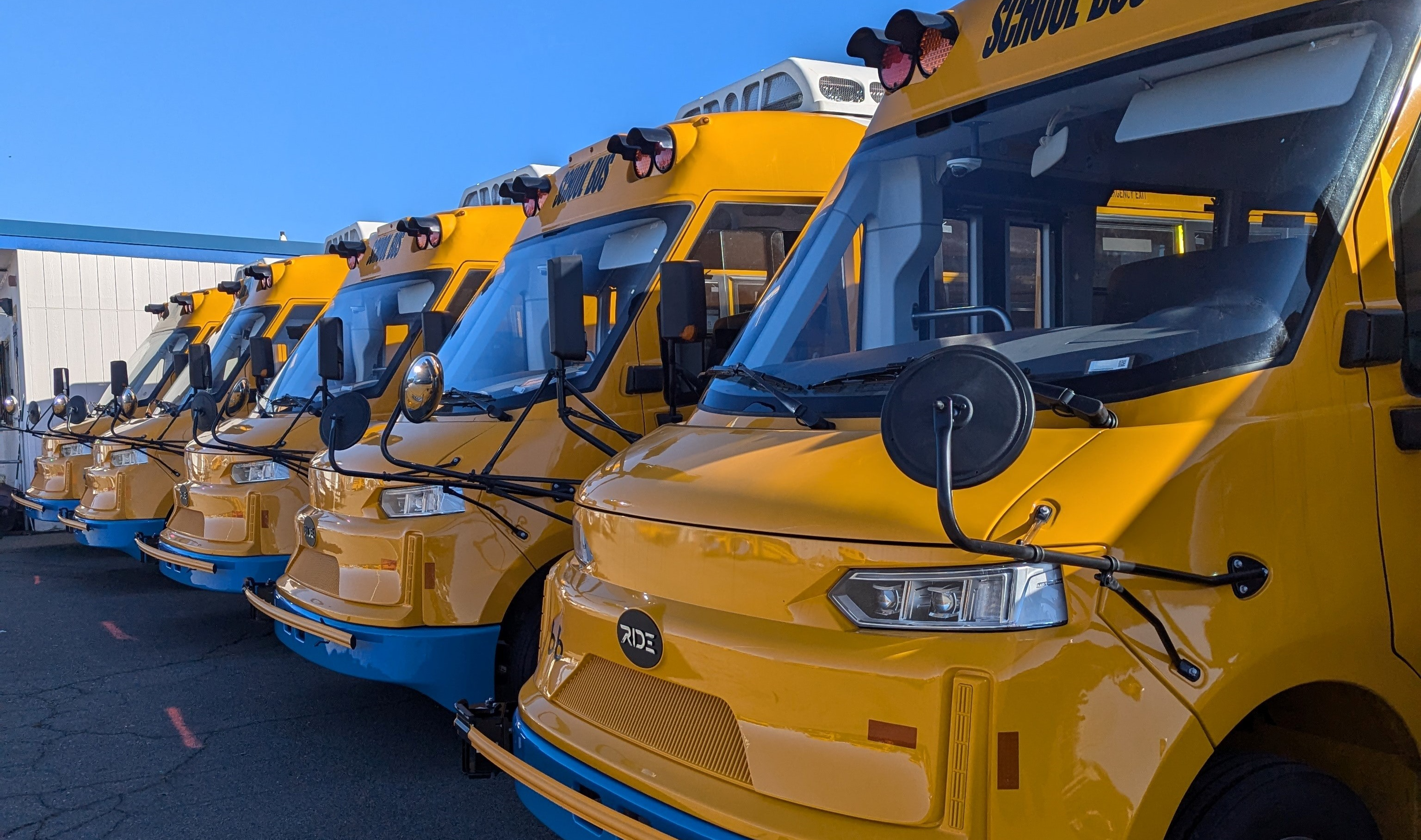 students walking on grass school bus in the background