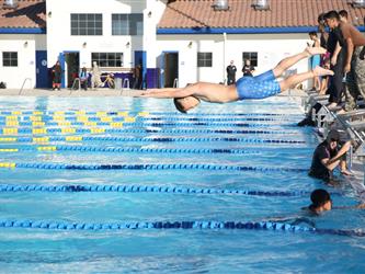 A student diving into the pool
