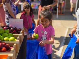 Farmers Market - Orchard
