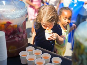 Rio Linda HS Summer School - CTE Class