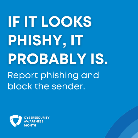 If it looks phisy, it probably is